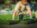 Landscaper lays new turf over quality sand in garden project